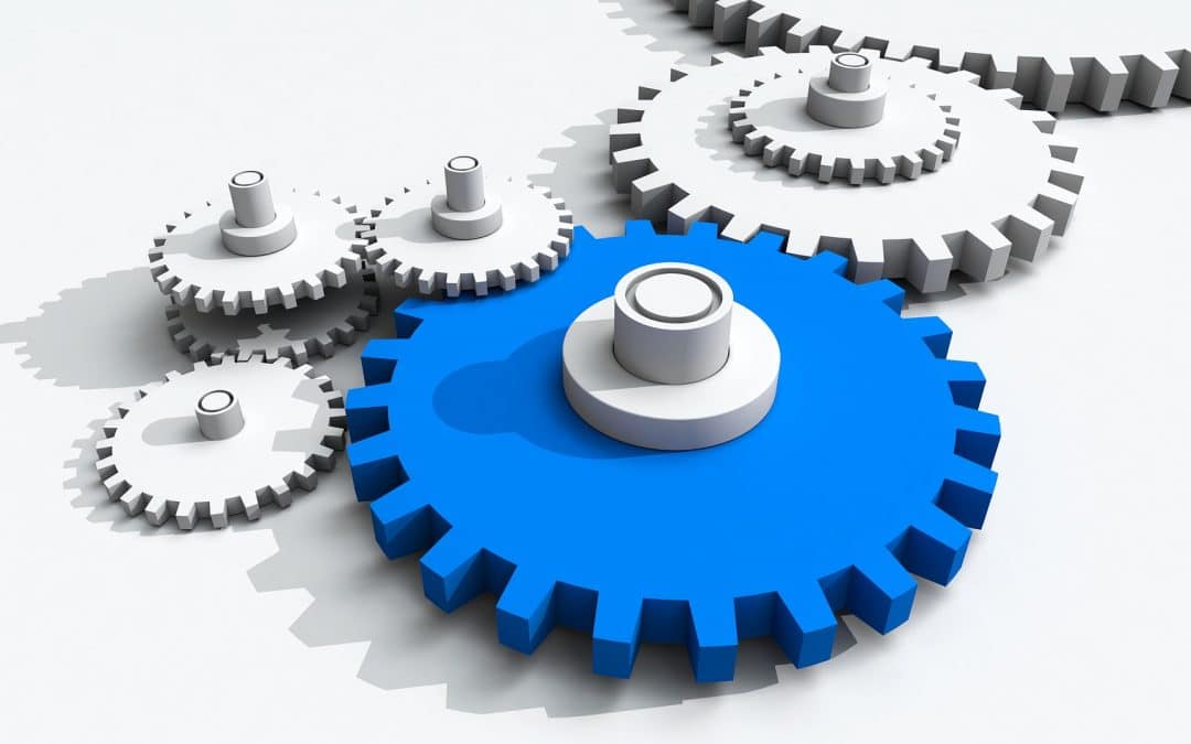 Building a Scalable Asset: Business Systemization for Growth-Minded Founders